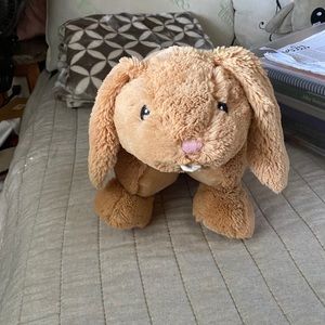 Build a Bear Friendzzz Bunny Pillow